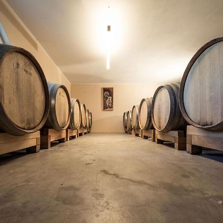 Вилла Weingut Dona Аппиано-Сулла-Страда-дель-Вино Экстерьер фото