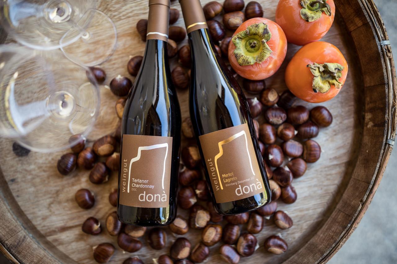Вилла Weingut Dona Аппиано-Сулла-Страда-дель-Вино Экстерьер фото